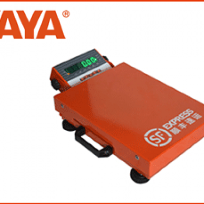 BX series - Portable logistics scale