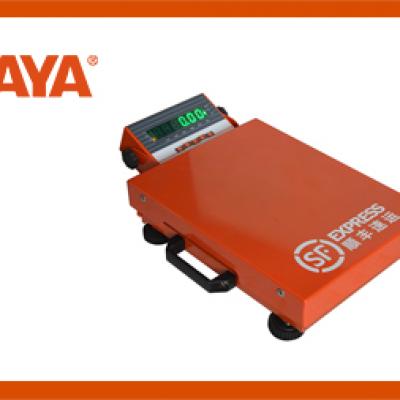 BX series - Portable logistics scale